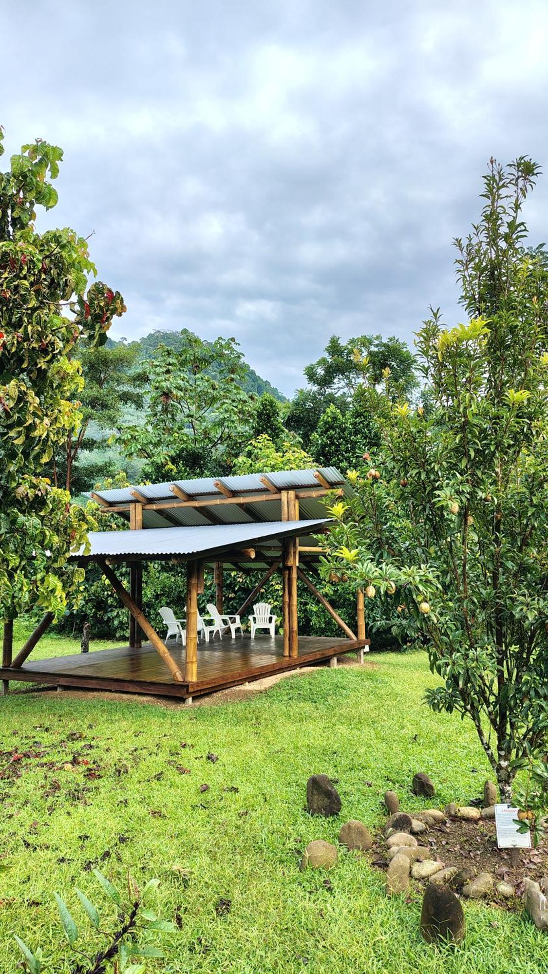 Eya Ecolodge San Isidro De El General Buitenkant foto